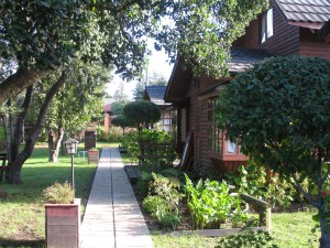 el lucero Turismo en Chile en Puc&oacute;n |  Arriendo de caba&ntilde;as el lucero, Caba&ntilde;as el lucero