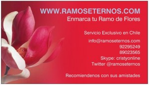 cristina diaz Turismo en Chile en Los Andes |  Conservacion y enmarcado de ramo de novia enmarcado , Experta en arte floral desde 1996