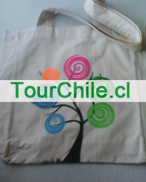 Nicole Castro Caballero Anuncios gratis en Santiago |  Confeccion de bolsas ecologicas y reutilizables en tela , Bolsas de tela ecologicas