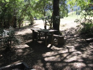 Doris Barra Turismo en Chile en Puc&oacute;n |  Lindo camping cerca de las termas huife puc&oacute;n, Te esperamos!