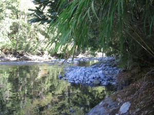 Doris Barra Turismo en Chile en Puc&oacute;n |  Caba&ntilde;a cerca termas huife rodeado de naturaleza y tranquilidad, Donde podr&aacute;s disfrutar del la naturaleza y el campo.