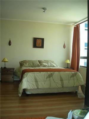 carmen Turismo en Chile en Santiago |  Arriendo deptos amoblados en stgo centro con estacionamiento, Metro universidad catolica