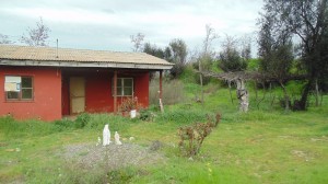Veronica  Turismo en Chile en Pichidegua |  Hermosa parcela con caba&ntilde;a de 5000  mts , Santa amelia,comuna de pichidegua