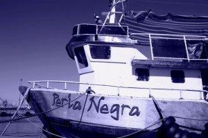 Carlos Marchant Turismo en Chile en Valpara&iacute;so |  Ven a pasear en la mejor lancha del muelle prat, Paseo por la bah&iacute;a de valpara&iacute;so 