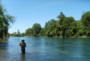 Ariel Arditi Turismo en Chile en Villarrica |  Tolt&eacute;n lodge caba&ntilde;as tour de pesca chinook, Caba&ntilde;as de primer nivel con hot-tub exclusiva