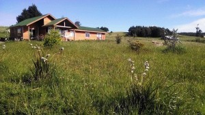 Christina Held Kleinsteuber Turismo en Chile en Frutillar |  Arriendo casa frutillar ubicada a 1,5 km. de la playa, Casa frutillar