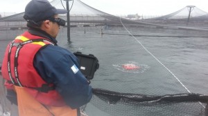 Servicios Acu&iacute;colas Bah&iacute;a Manao Turismo en Chile en Ancud |  Servicios de buceo en los lagos - www.bahiamanao.cl, Buceo en los lagos, rob&oacute;tica submarina en los lagos, servicios acu&iacute;col