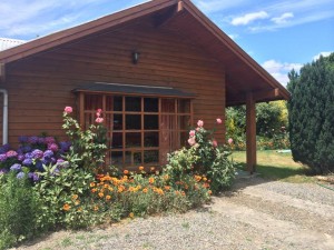 Olga Guti&eacute;rrez Turismo en Chile en Puc&oacute;n |  Arriendo caba&ntilde;a en puc&oacute;n para  4 personas, Arriendo caba&ntilde;a  en puc&oacute;n