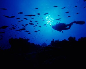 Bahia Manao Servicios Acuicolas Turismo en Chile en Ancud |  Servicios acu&iacute;colas en los lagos - www.bahiamanao.cl, Servicios acuicolas, buceo, rob&oacute;tica submarina