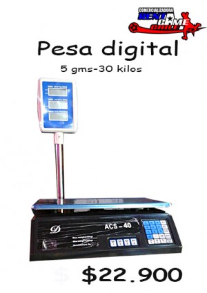 RENTAGAME CHILE Turismo en Chile en La Cisterna |  Pesa digital 5 grs. - 30 kilos precio oferta: $ 22.900, Rentagame: maquinas de juego:  accesorios,repuestos, servicio tecnico