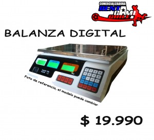 RENTAGAME CHILE Turismo en Chile en La Cisterna |  Balanza digital /precio especial de rentagame chile:$ 19.990, Rentagame: maquinas de juego:  accesorios,repuestos, servicio tecnico