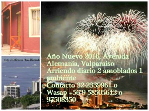 Alicia Calderon Aravena Turismo en Chile en Valpara&iacute;so |  A&ntilde;o nuevo 2016, arriendo diario amoblado 1 ambiente, valparaiso, Avenida alemania, valparaiso, fono 97508350 o 58505612