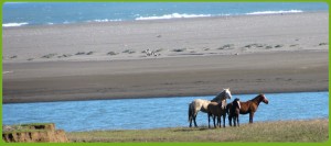 ivan chavez Turismo en Chile en Iloca |  Guia de turismo playas iloca duao la pesca vichuquen putu constitucion, Guia turismo gratis playas region del maule