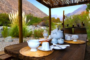 Teresa Turismo en Chile en Valle de Elqui |  Valle de elqui, caba&Ntilde;as en la cordillera, Indomito elqui, caba&Ntilde;as