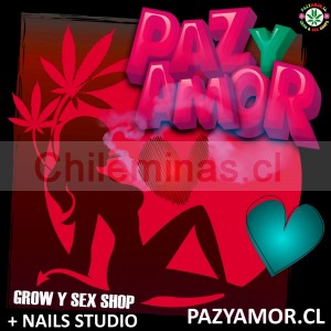 Pazyamor.cl Turismo en Chile en Santiago |  Pazyamorcl grow shop sex shop nails studio, Tienda especializada en productos recreacionales para adultos