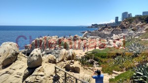 Turismo fusion Turismo en Chile en Vi&ntilde;a del Mar |  Ruta vina del mar  playas cultura y ciudad, Maravillosas playas y caminata al aire libre