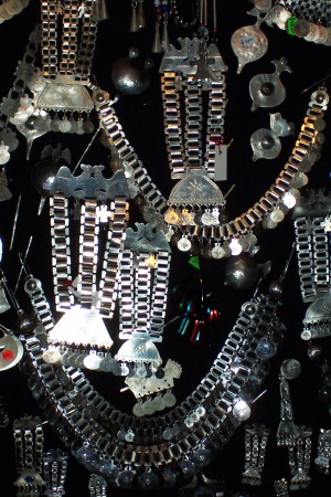 Claudio Tejos Castro Turismo en Chile en Temuco |  Recorra Temuco y su historia, Kutralco Expediciones