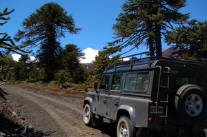 Claudio Tejos Castro Turismo en Chile en Temuco |  Entre Araucarias y Volcanes, Kutralco Expediciones