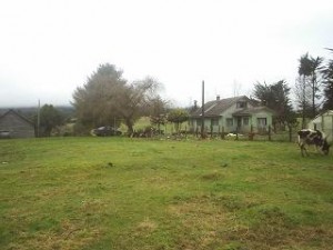 clarisa Turismo en Chile en Puerto Octay |  VENDO PARCELA EN RUPANCO PUERTO OCTAY, OFERTA 70.000.000