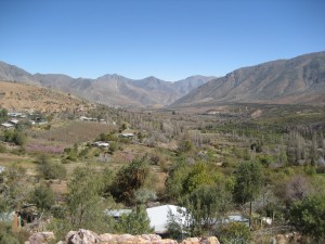  Turismo en Chile en El Maqui |  Tour hacia el interior de M. Patria (EL MAQUI ), EL maqui una postal