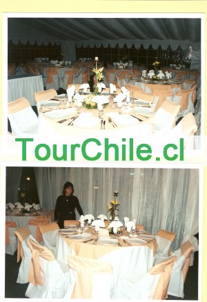 EVENTOS SIGLO XXI Anuncios gratis en Santiago |  PRODUCCION / ASESORIA PARA EVENTOS  SOCIALES, EMPRESAS, BANQUETERIA INTEGRAL AÑO 2008