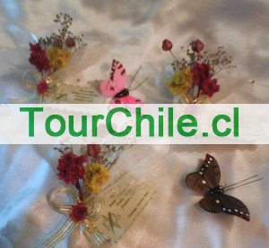  Anuncios gratis en Santiago |  RECUERDOS BODAS, SOUVENIR, ENCINTADOS, RECUERDOS