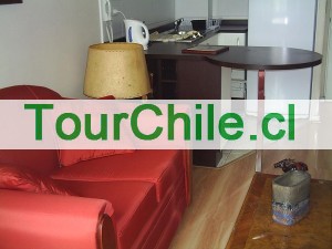  Anuncios gratis en Santiago |  ARRIENDO DEPARTAMENTOS AMOBLADOS.(dia/s,semanas) stgo centro, metro univ. catolica