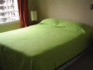  Turismo en Chile en Santiago |  ARRIENDO DEPARTAMENTOS AMOBLADOS (dias,semanas) stgo centro, Santa  Victoria- Portugal