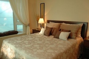 Carolina A. Turismo en Chile en Santiago |  Accommodation, Stay in Santiago, Furnished Apartments, Apart hotels, Hotels.  , Located in central locations in the city