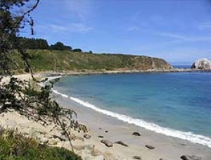  Turismo en Chile en Algarrobo |  PARQUE CANELO - CANELILLO, zona t&iacute;pica es aleda&ntilde;a a dos santuarios ya existentes: Islote de P&aacute;jaros Ni&ntilde;os y