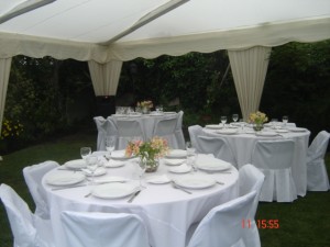 VIVIANA PRODUCCIONES Turismo en Chile en Santiago |  BANQUETERIA,  BANQUETES.  BANQUETEROS PARA  MATRIMONIOS, BAUTIZOS,  CUMPLEA&Ntilde;OS, FIESTAS  DE EMPRESAS. GRADUACIONES ETC 