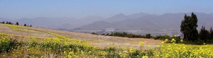  Turismo en Chile en Valle de Elqui |  Parcelas de Agrado Fundo Loreto, Valle de Elqui, La Serena, Chile