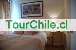Torre Tagle Anuncios gratis en Santiago |  Departamentos Amoblados - Sector Bellas Artes - Santiago de Chile, Arriendo vacaciones