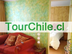 Mario Castillo Anuncios gratis en Santiago |  Por días arriendo departamentos amoblados en Santiago, Vea videos y fotos de los departamentos en nuestra página Web