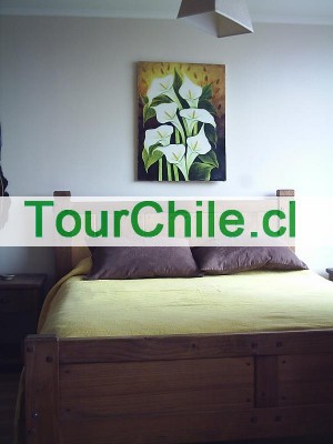  Anuncios gratis en Santiago |  ARRIENDO DEPARTAMENTOS AMOBLADOS.(día/s,semanas), VER FOTOS EN PÁGINA WEB.