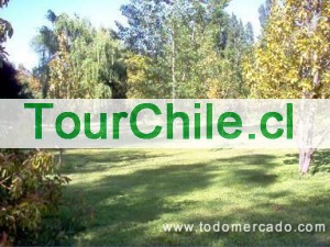 maria teresa Anuncios gratis en Santiago |  hermosa parcela centrica con banqueteria 2681366, matrimo0nios,graduaciones,bautizos,eventos a empresas,etc