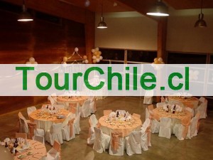 Marcelo  Dadilet  V Anuncios gratis en Santiago |  banqueteria para matrimonios ,BANQUETEROS  FONO 2827282, banqueteria para matrimonios, cenas de gala etc 