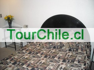 Ivan Anuncios gratis en Santiago |  Arriendo departamento nuevo amoblado full, Santiago Centro Civico