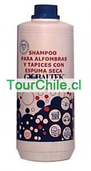 valeria galvez Anuncios gratis en Providencia |  shampoo para alfombra, shampoo alfombra