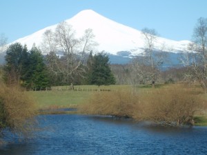 REMBERTO Turismo en Chile en Villarrica |  .ARRIENDOSVILLARRICA.CL, ARRIENDOSVILLARRICA.CL