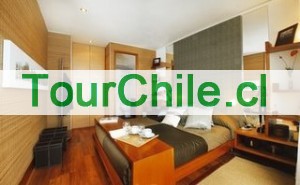 RentaProvidencia Anuncios gratis en Providencia |  Furnished apartment for rent santiago chile, Departamentos amoblados en providencia santiago chile