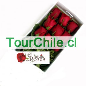 eljardinderosas Anuncios gratis en Providencia |  Rosas desde $13.900, Enviamos Gratis a Domicilio Ramos,Cajas