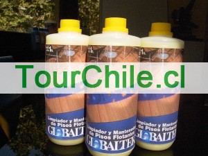 Valeria G&aacute;lvez Anuncios gratis en Providencia |  LIMPIADOR DE PISOS, ABRILLANTADOR DE PISOS FLOTANTES