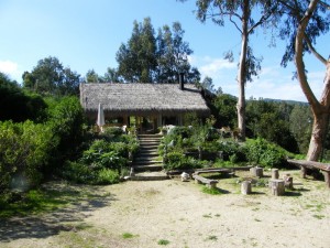 M&oacute;nica Pakarati Turismo en Chile en Cachagua |  Cachagua, Casa 6 personas, Cachagua V Reguion Chile, Cachagua Casa para 6 personas