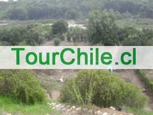 BORIS Turismo en Chile en Paine |  HERMOSA PARCELA SECTOR PAINE 5280 M2 15000000, POR APURO VENDO HERMOSA PARCELA EN  FUNDO EL ESCORIAL A 40 MINUTOS DE STGO