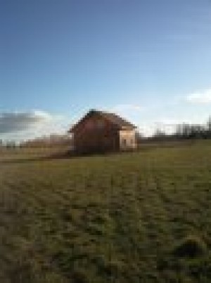 sandra Turismo en Chile en Villarrica |  casa en villarrica con parcela, a dos minutos del lago