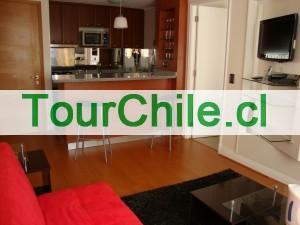 MG Apartments Anuncios gratis en Providencia |  Arriendo departamentos amoblados Providencia Santiago de Chile, Dias/semanas/meses Ideal para turistas y viajes de negocios.