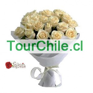 jorge Anuncios gratis en Las Condes |  FLORERIAS EN SANTIAGO CENTRO.LAS CONDES,PROVIDENCIA, DESPACHAMOS GRATIS A DOMICILIO