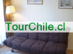 Mario Castillo Anuncios gratis en Santiago |  Por días arriendo departamentos amoblados en Santiago, Vea videos y fotos de los departamentos en nuestra nueva página Web