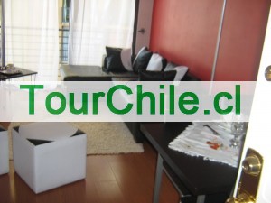 MARIA LORENA OLGUIN VARGAS Anuncios gratis en Santiago |  Arriendo Departamentos Amoblados por días o semanas en Santiago de Chile, DEPARTAMENTOS AMOBLADOS EN EL CENTRO DE SANTIAGO